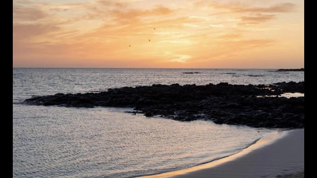Paradise Island Lajares 0*,